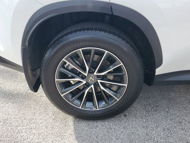 2025 Lexus NX 250 Base