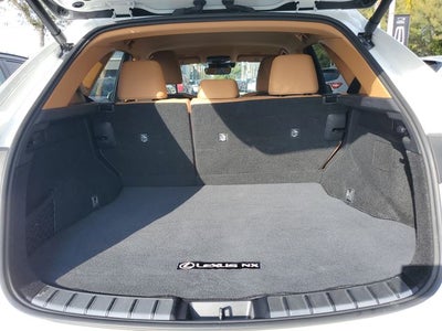 2025 Lexus NX 250 Base