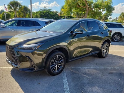 2024 Lexus NX 250 Premium